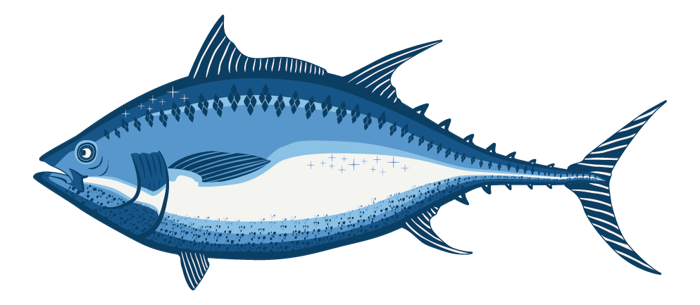 Yellowfin Tuna