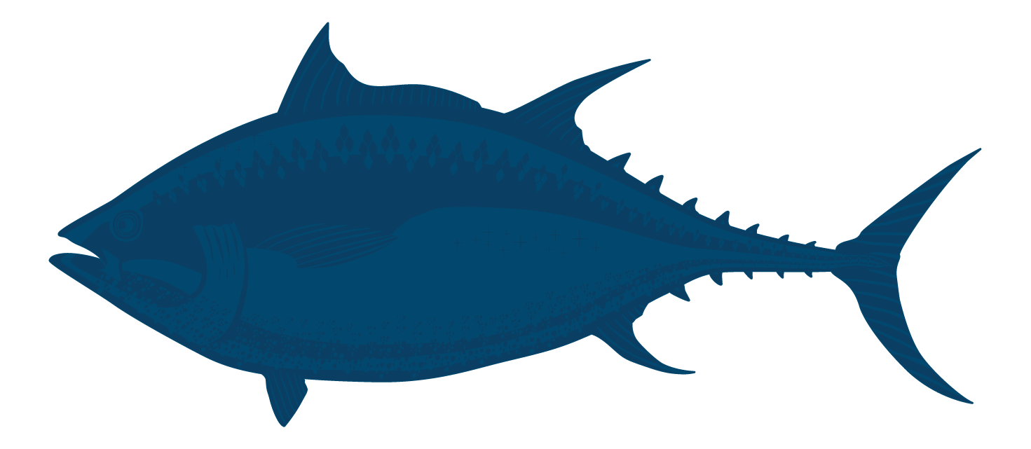 Yellowfin Tuna