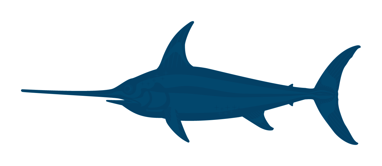 Swordfish