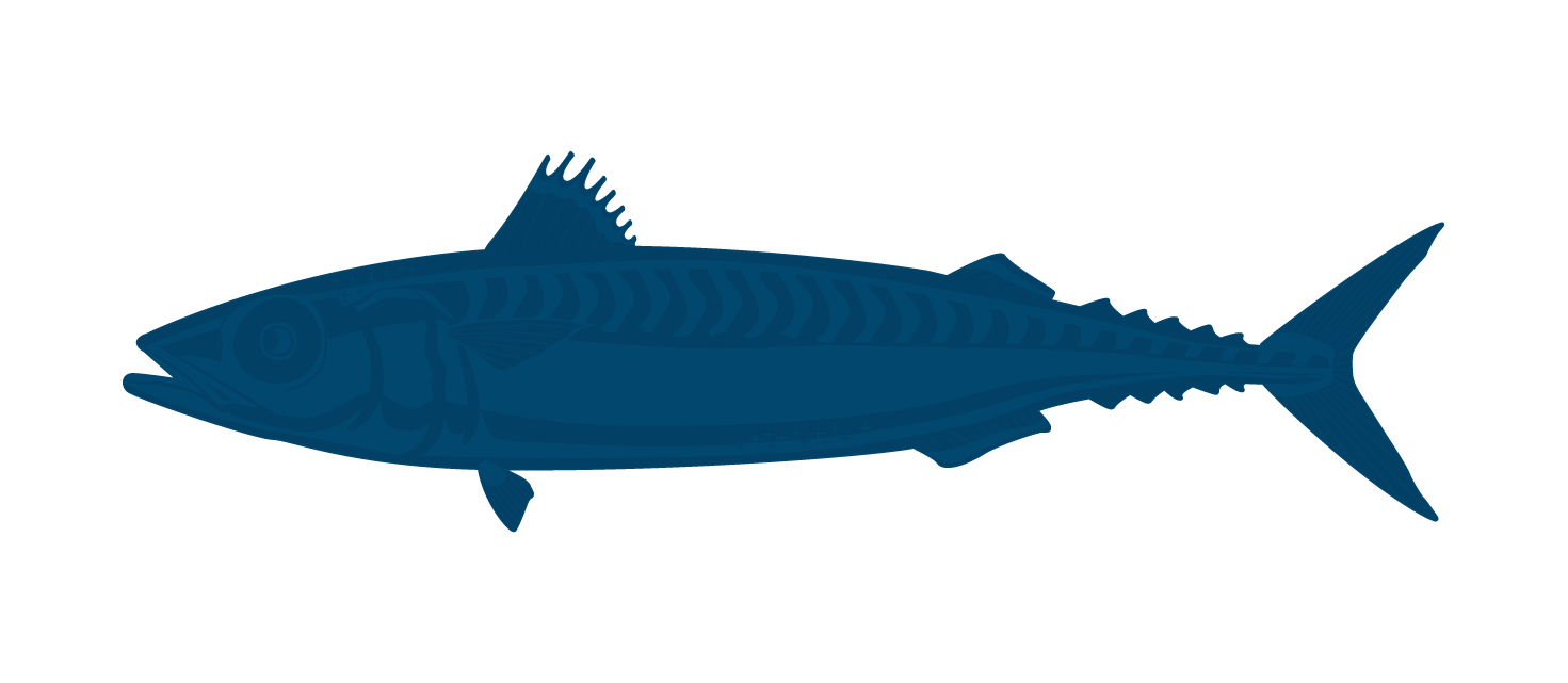 鯖魚