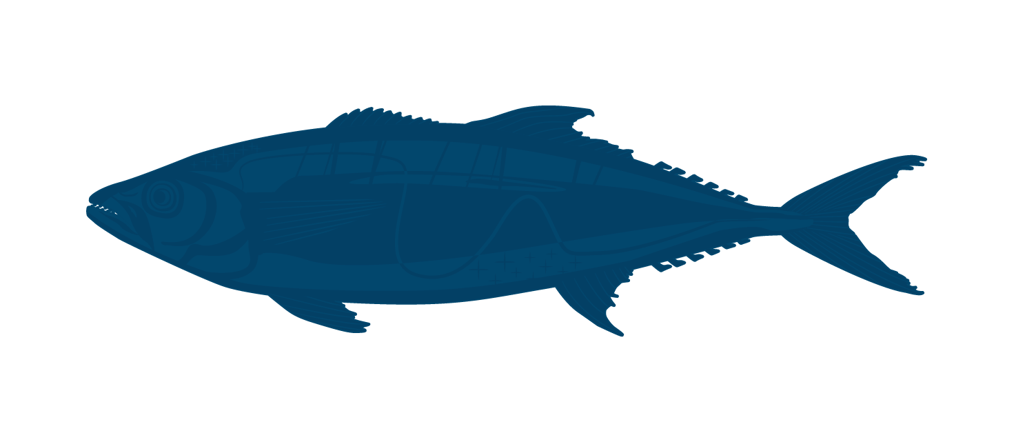 Oil Fish