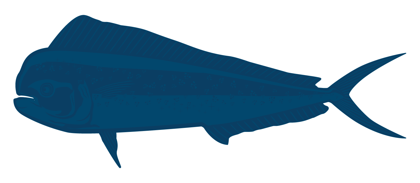Mahi Mahi