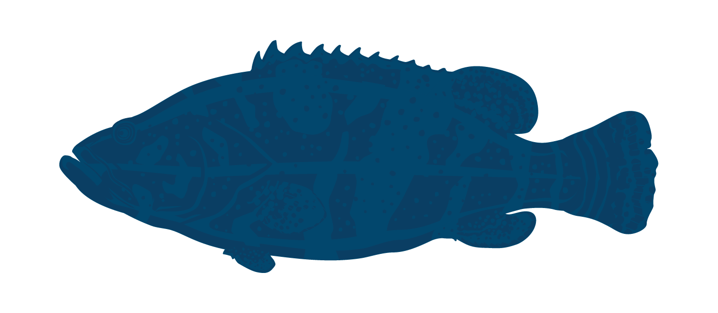 Grouper