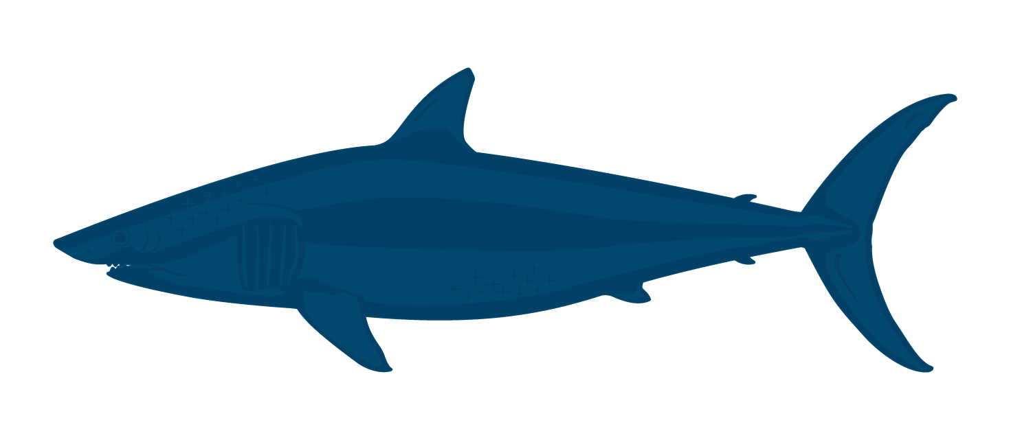 藍鯊