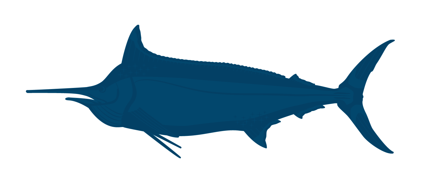 Black Marlin