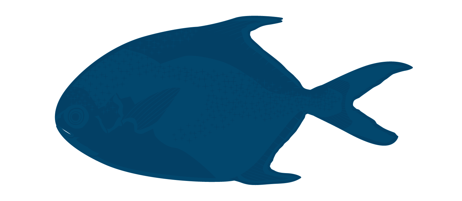 Golden Pomfret